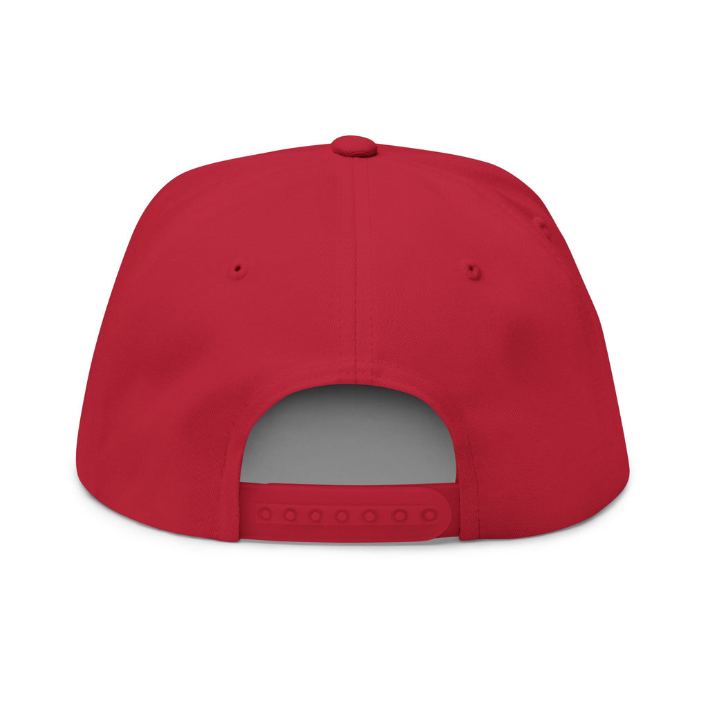 Dubway Embroidered Flat Bill Cap | Premium Streetwear Snapback Hat